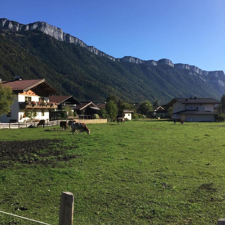 Haus Alpenrose Apartman Waidring Kültér fotó